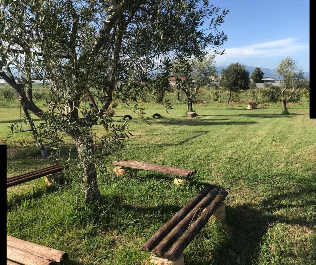 Вилла Agriturismo Il Borghetto Фоче-дель-Селе Экстерьер фото