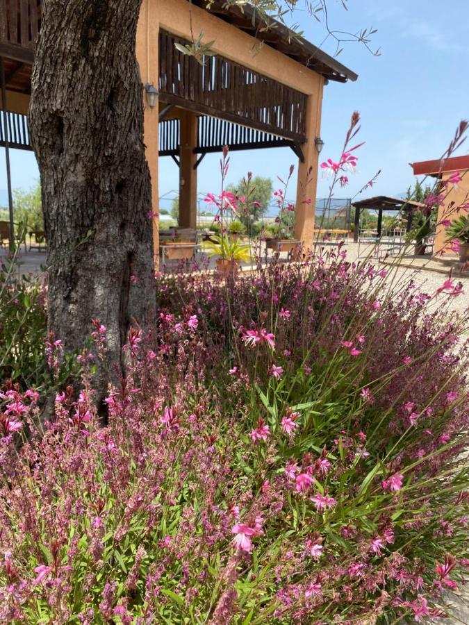 Вилла Agriturismo Il Borghetto Фоче-дель-Селе Экстерьер фото